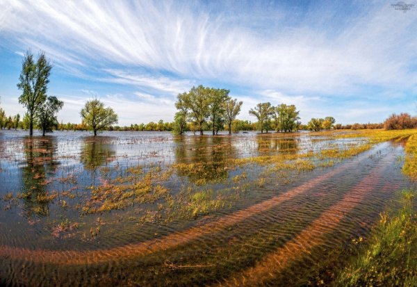 Щербаковская балка Столбичи