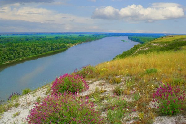 Природный парк «Щербаковский», Камышинский район.