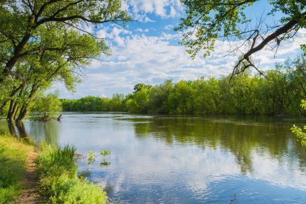 Донские степи Волгоградской области