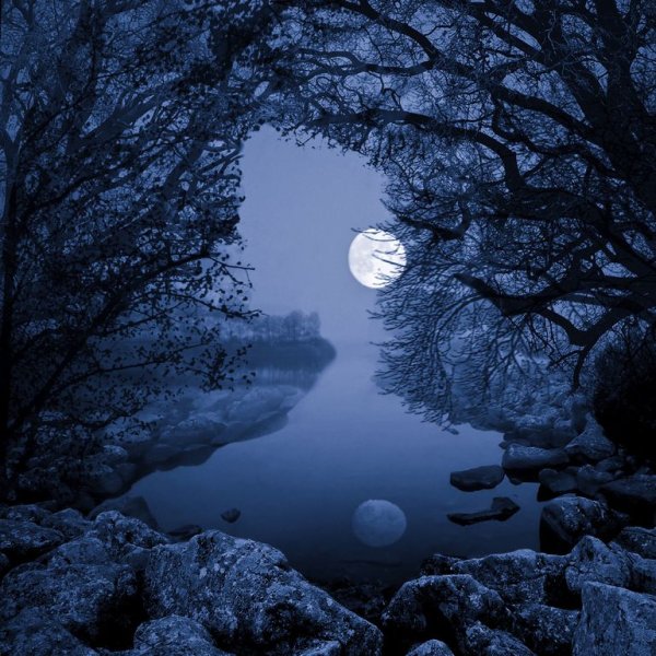 Ночной пейзаж