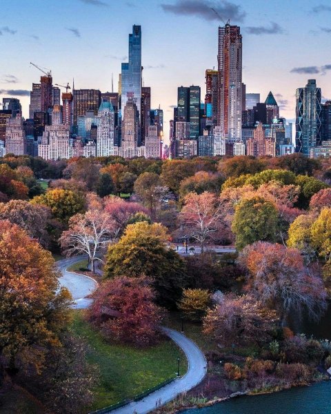Центральный парк Нью-Йорк