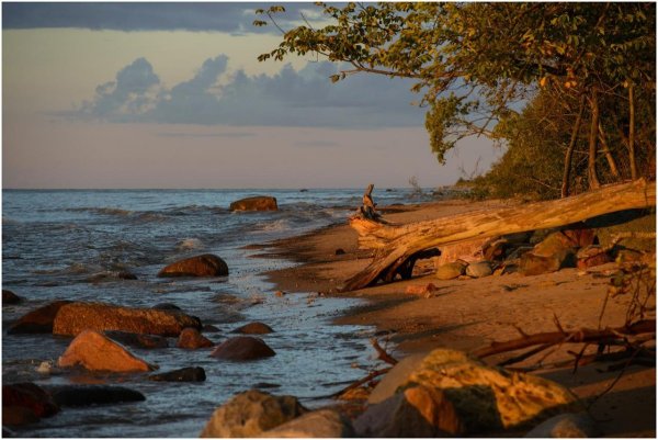 Светлогорск пляж Янтарный