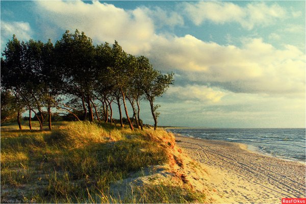 Балтийск Куршская коса