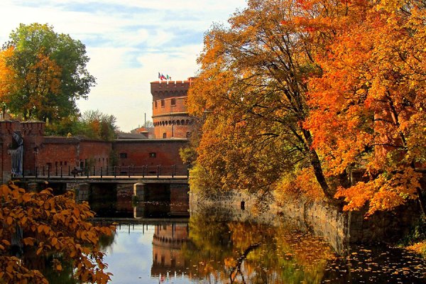 Светлогорск Калининград осенью