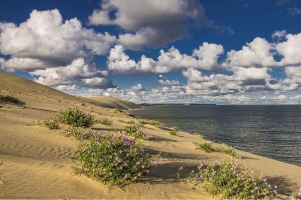 Куршская коса Калининградская область дюны