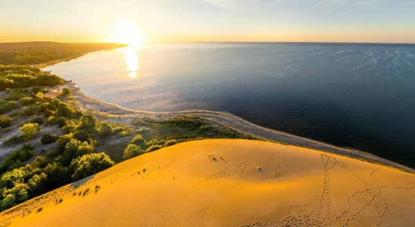 Куршская коса (национальный парк, Россия)