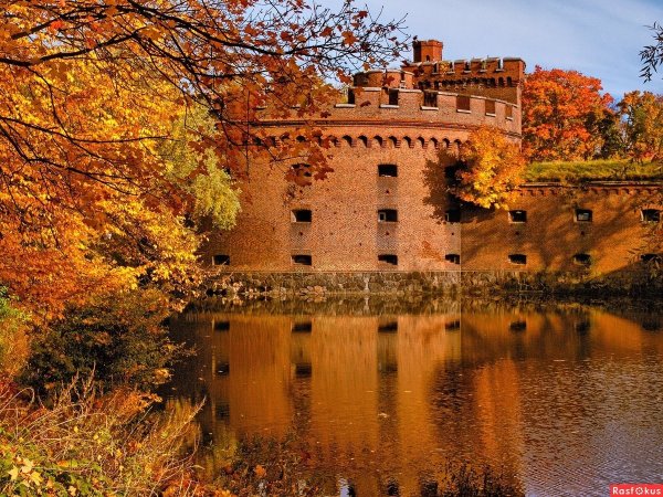 Музей янтаря в Калининграде