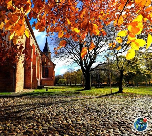 Янтарная осень Калининград