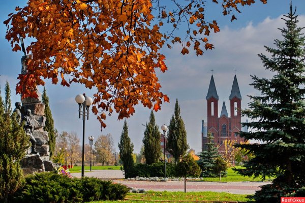 Светлогорск Калининград осень