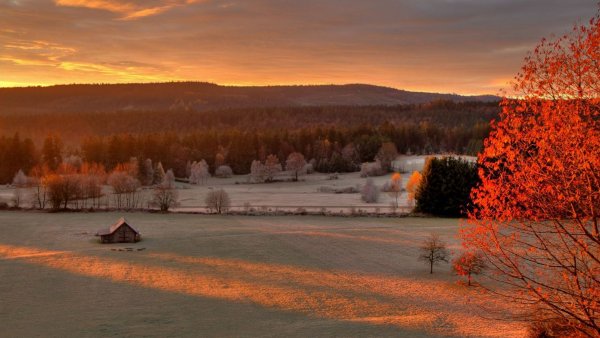 Поздняя зима