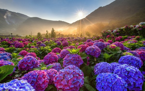 Озеро Нонг Хан Кумпхавапи, Таиланд