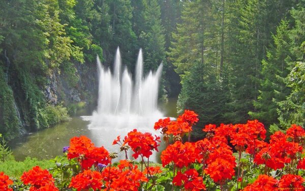 Пейзаж цветы