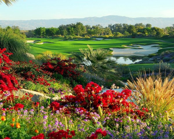 Долина тюльпанов в Швейцарии