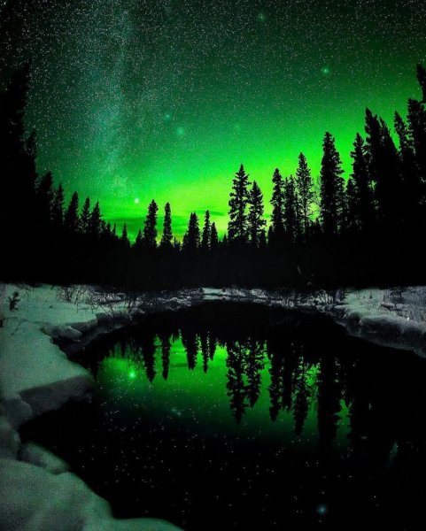 Ночная природа