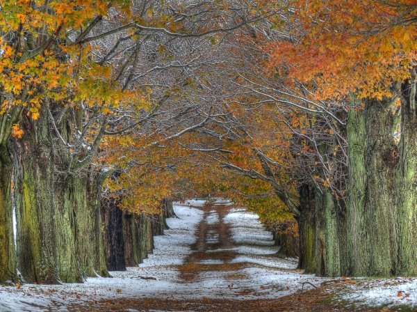 Фото поздней осени красивые