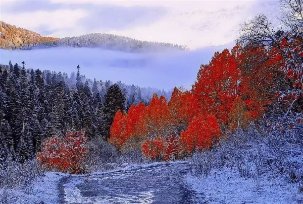Поздняя осень в Сибири