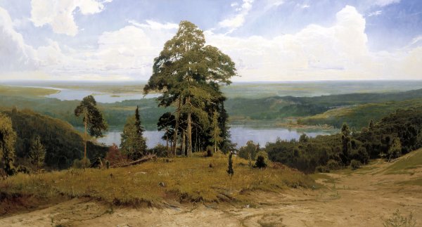 Андрей Николаевич Шильдер Лесной пейзаж