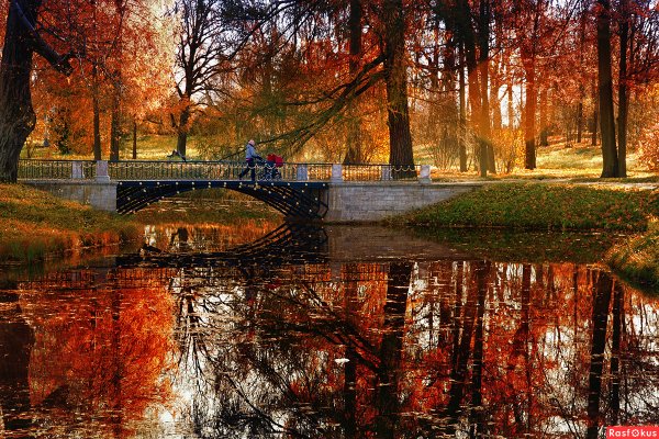 Эдуард Гордеев осенний Петербург