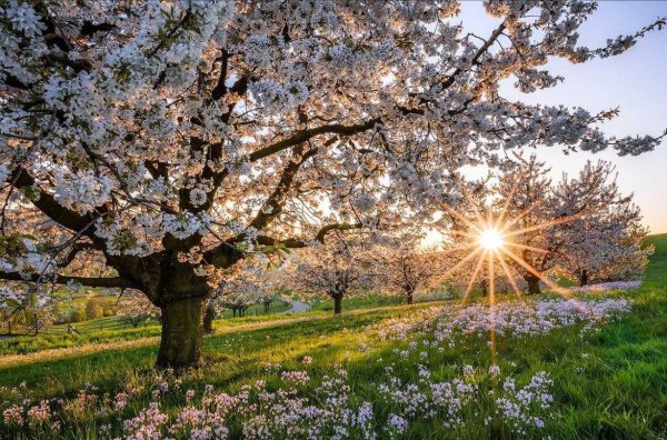 Рассвет в горах