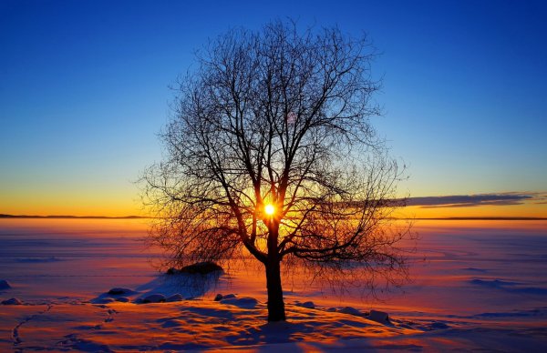 Весеннее солнце