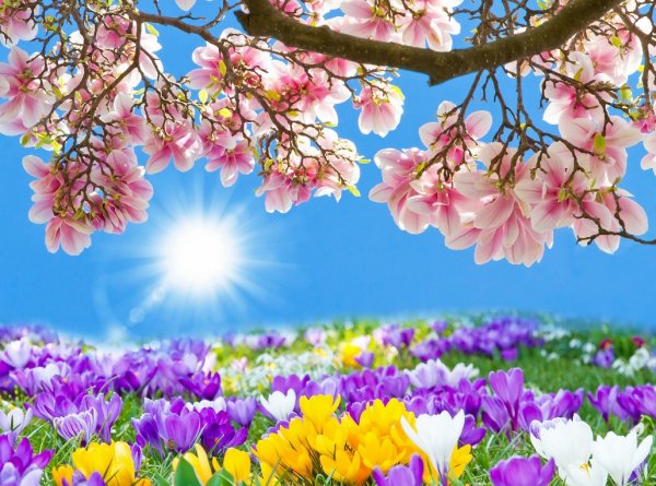 Зимний закат