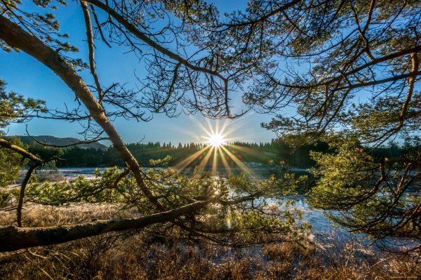Весенний рассвет