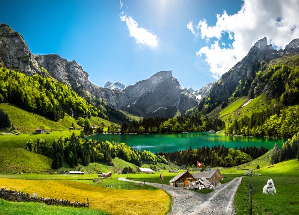 Швейцария горные Альпы