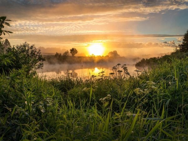 Утренний пейзаж