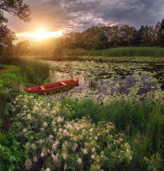 Северная Каролина фото природа