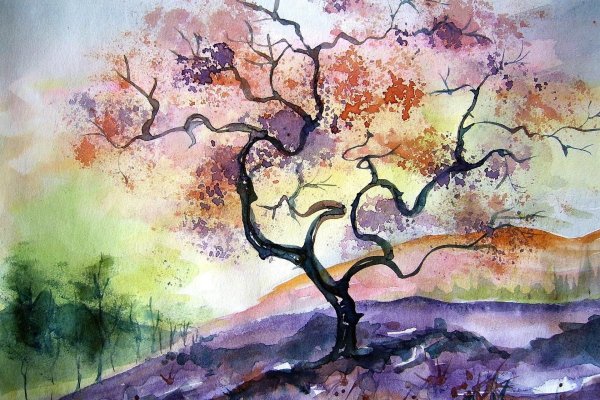 Рисунки акварелью для начинающих