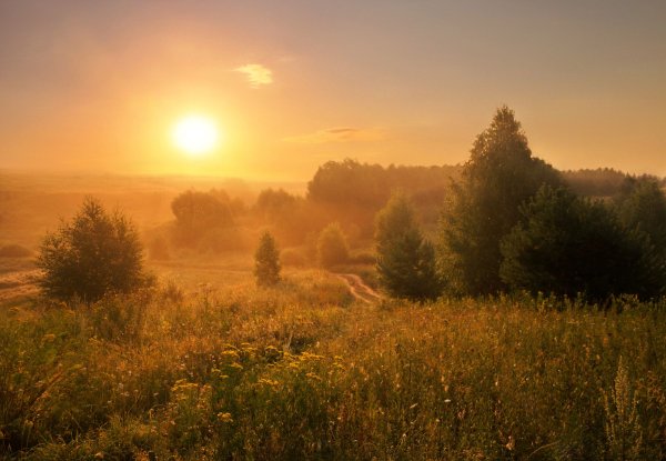 Лето рассвет