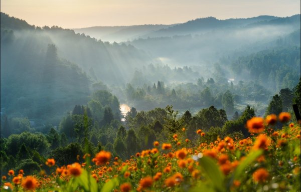 Утренний пейзаж