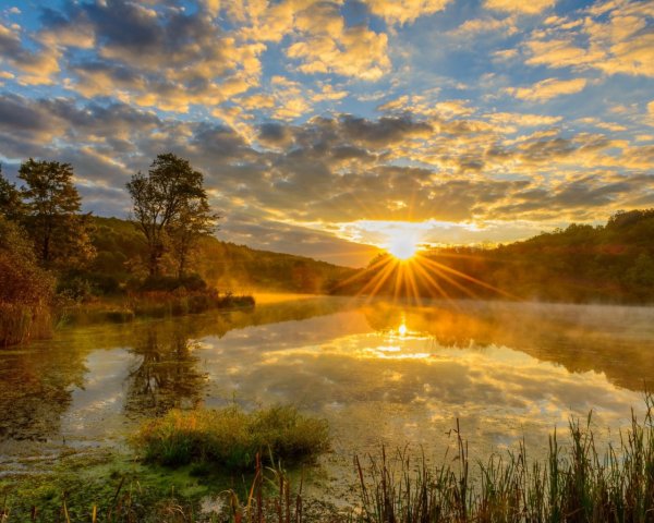 Чашка кофе пейзаж