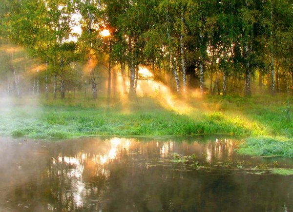 Заря Зорька Зоренька