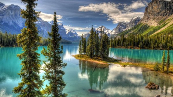 Национальный парк Банф лес