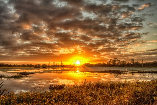 Природа закат