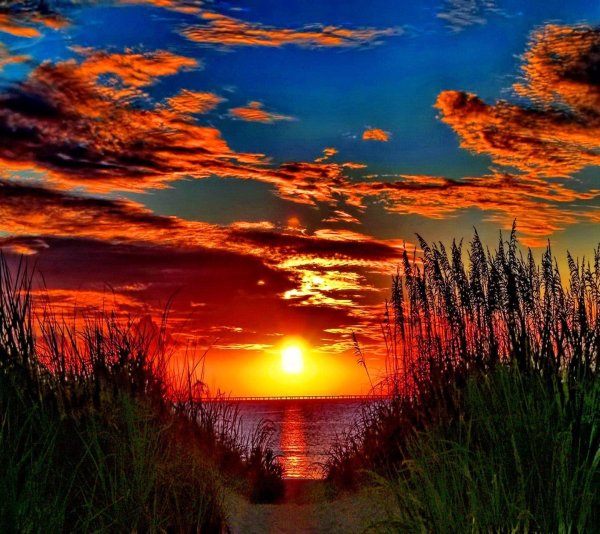 Багряный закат