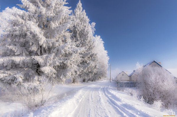 Деревня зима Виладж