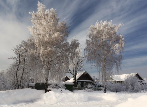 Ульяново деревня Холмогорский район