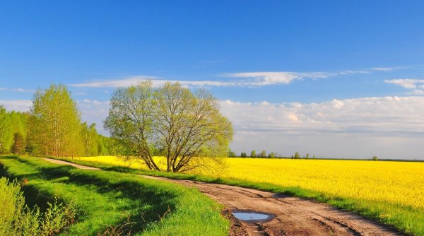 Весна природа деревня