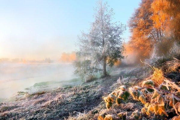 Морозное осеннее утро