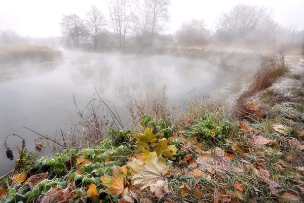 Ноябрьское утро