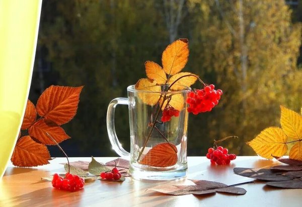 Утренний осенний пейзаж