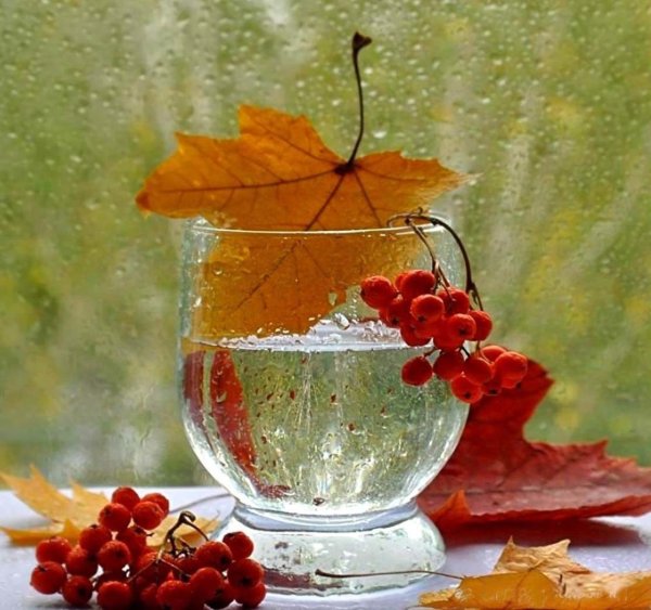 Доброе утро осень