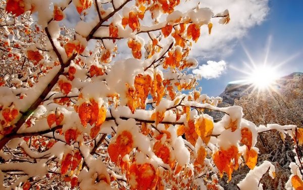 Доброго осеннего утра и хорошего дня