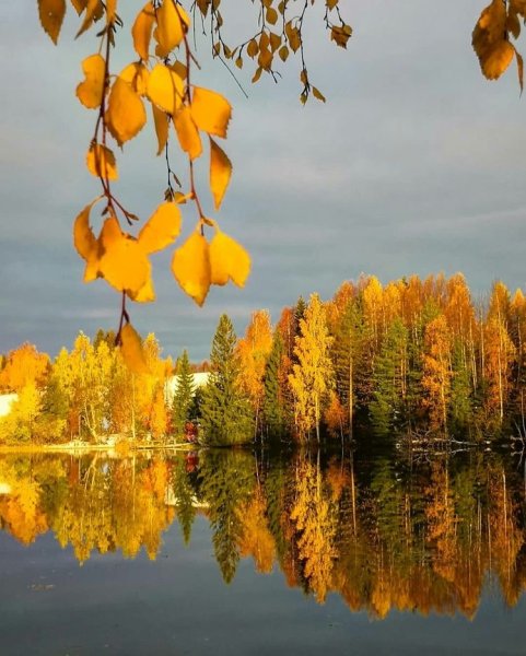 Осеннее утро