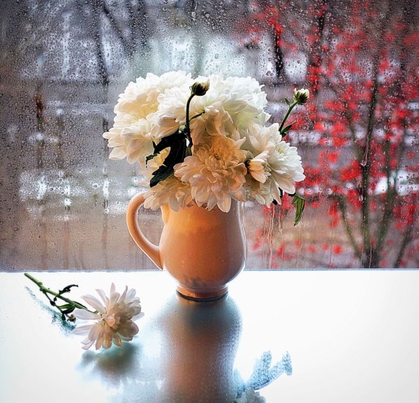 Доброе утро поздняя осень