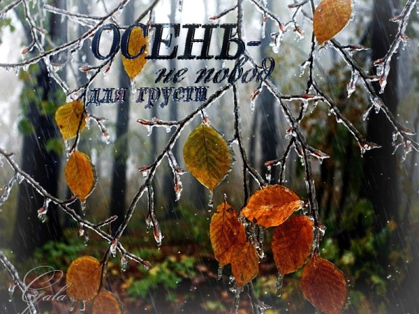 Доброе утро ноябрь