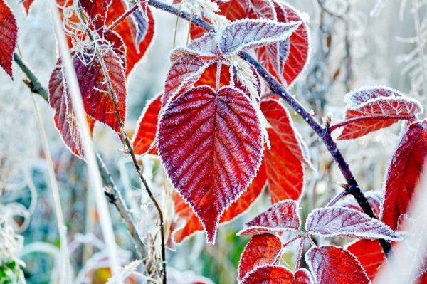 С добрым осенним утром четверга