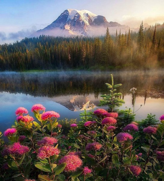 Национальный парк Маунт-Рейнир, штат Вашингтон